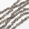 Chips Natural Black Larvikite Beads Strands G-N0164-61-1