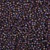 TOHO Round Seed Beads SEED-XTR08-0166BF-2