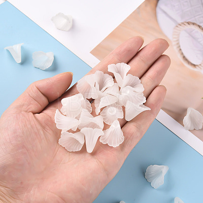 Transparent Acrylic Bead Caps PL551-1