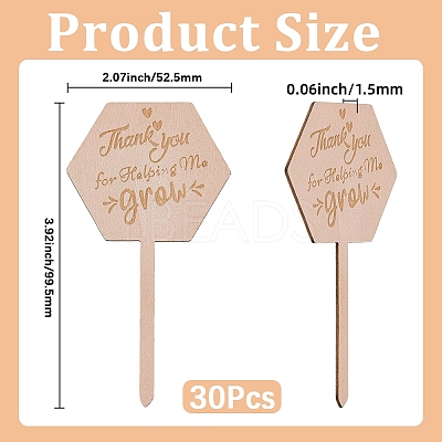 30Pcs Wooden Plant Labels DIY-GF0014-19B-1