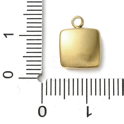 304 Stainless Steel Acrylic Pendants STAS-M091-02D-G-1