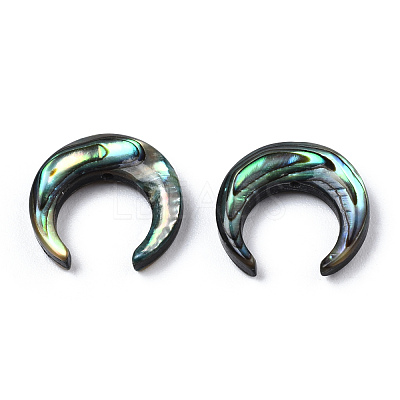 Natural Abalone Shell/Paua Shell Beads SSHEL-N034-122B-01-1