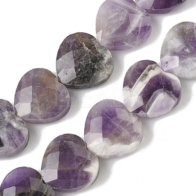 Natural Amethyst Beads Strands G-A309-A11-01-1