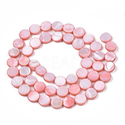 Freshwater Shell Beads Strands SHEL-T009-B16-02-1