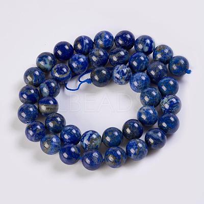 Natural Lapis Lazuli Beads Strands G-K254-01-10mm-1
