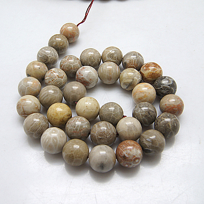Natural Fossil Coral Beads Strands G-G212-8mm-31-1