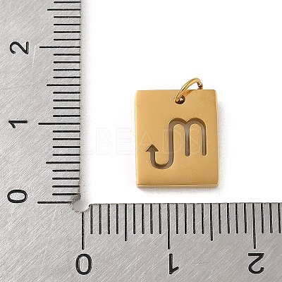 304 Stainless Steel Charms STAS-R001-03G-08-1