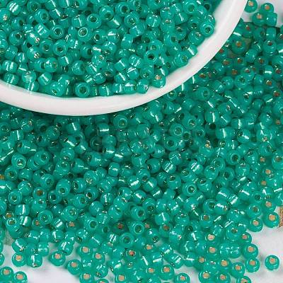 MIYUKI Round Rocailles Beads X-SEED-G008-RR0572-1