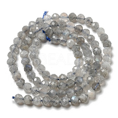 Faceted Round Natural Labradorite Bead Strands LS-G-I156-03-4mm-1