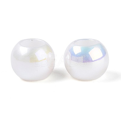 ABS Plastic European Beads SACR-T017-80-1