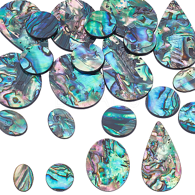 18Pcs 4 Styles Natural Paua Shell Cabochons SHEL-WR0001-10-1