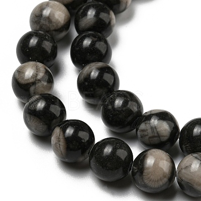 Natural Black Fossil Coral Beads Strands G-R494-A04-03-1