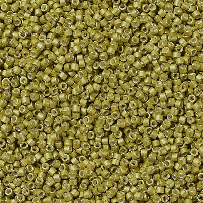 MIYUKI Delica Beads X-SEED-J020-DB1154-1