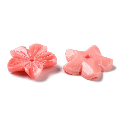 Synthetic Shell Dyed Beads SHEL-K007-04-1