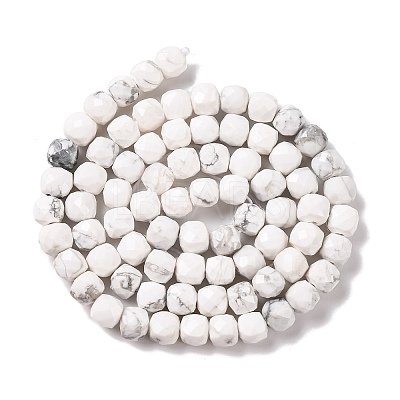 Natural Howlite Beads Strands G-G001-B02-06-1