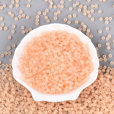 FGB Frosted Transparent Glass Seed Beads SEED-N013-02A-03-1