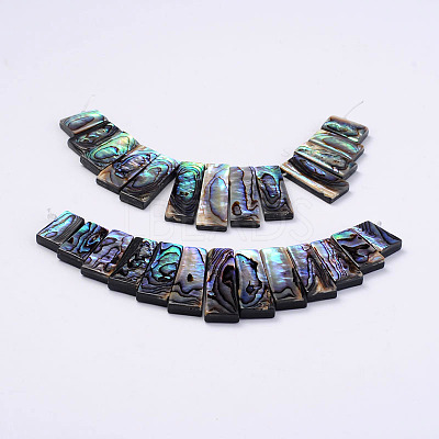 Rectangle Natural Abalone Shell/Paua ShellGraduated Beads Strands SSHEL-P002-03-1