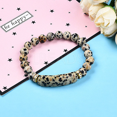 Natural Zebra Jasper Beads Stretch Bracelets BJEW-T022-04D-1