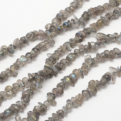 Chips Natural Black Larvikite Beads Strands G-N0164-61-1