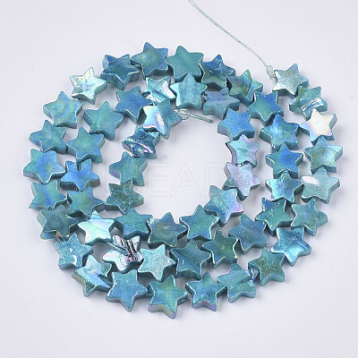 Freshwater Shell Beads Strands SHEL-N026-08F-1