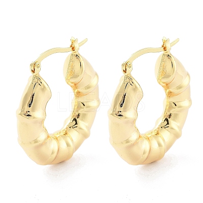 Brass Hoop Earrings EJEW-H301-01G-01-1