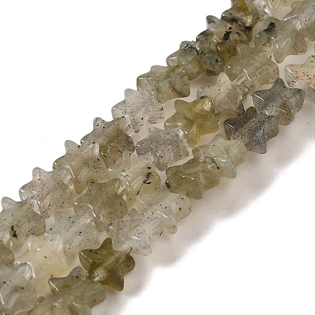 Natural Labradorite Beads Strands G-G085-B25-02-1