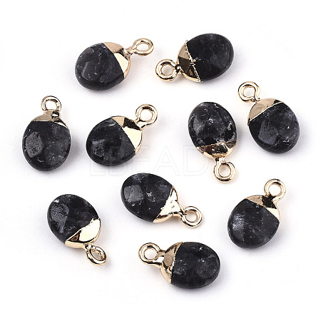 Natural Larvikite Charms X-G-N326-58A-1
