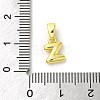 Rack Plating Brass Charms KK-C053-04G-Z-3