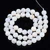 Natural Crackle Agate Beads Strands G-S359-240B-1-4