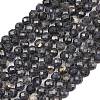 Natural Iolite Beads Strands G-RM250101-E7-5