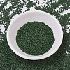 MIYUKI Delica Beads SEED-J020-DB0797-2