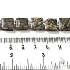 Natural Map Stone Beads Strands G-L596-A03-01-5