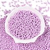 Glass Seed Beads SEED-T007-01H-1