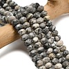 Natural Black Silk Stone/Netstone Beads Strands G-Z111-A45-1