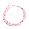 Natural Freshwater Shell Beads Strands X-SHEL-C010-01E-3