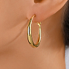 Brass Large Hoop Earrings for Women PZ7917-1-1