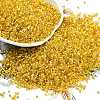 Baking Paint Silver Lined Glass Seed Beads SEED-H003-09B-1
