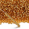 TOHO 6/0 Round Beads SEED-XTR06-0022B-2