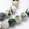 Natural Tree Agate Beads Strands G-I199-03-8mm-6