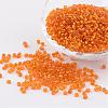 8/0 Glass Seed Beads X-SEED-A005-3mm-29-1