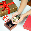 Wood Commemorative Coin Box CON-WH0107-36A-6