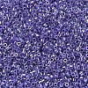 MIYUKI Delica Beads SEED-JP0008-DB0250-4