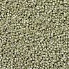 MIYUKI Delica Beads SEED-JP0008-DB1181-3