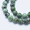 Natural African Turquoise(Jasper) Beads Strands G-E444-47-10mm-3