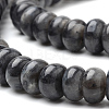 Natural Larvikite Beads Strands G-S272-13-3