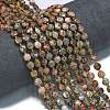 Natural Leopard Skin Jasper Beads Strands G-K389-B17-01-2