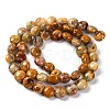 Natural Crazy Agate Beads Strands G-T047-A02-03-3