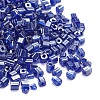 6/0 Glass Seed Beads SEED-YW0001-25E-1