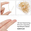 Brass Earring Hooks KK-SC0001-43G-3
