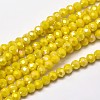 Faceted Round Full Rainbow Plated Electroplate Glass Beads Strands X-EGLA-J130-FR05-1